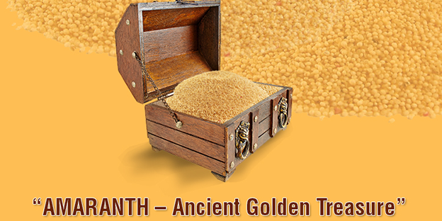 amaranth-seeds-ancient-golden-treasure