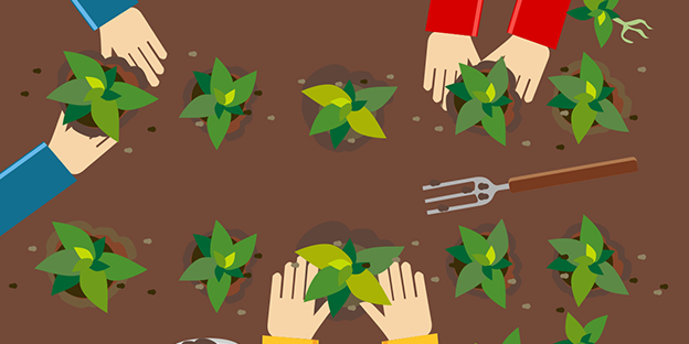 Organic-Cultivation-of-Seeds