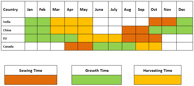 Mustard-Seeds-Seasonability