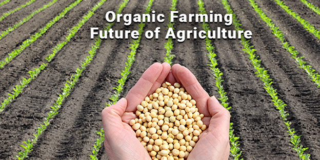 Organic-Farming-Future-of-Agriculture