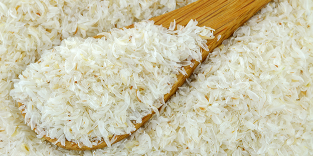 Psyllium Husk - Organic Products India