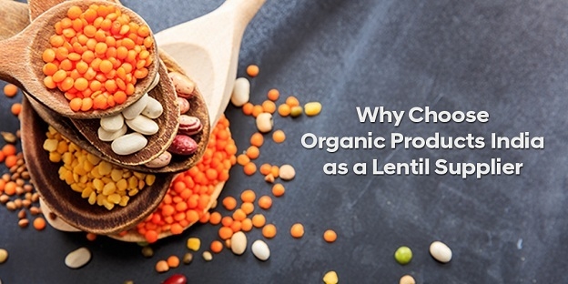 Why Choose Organic Products India As A Lentil Supplier