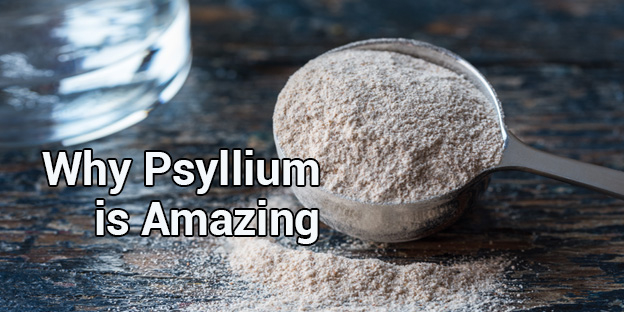 Advantages of psyllium by psyllium husk manufacturers in India - Organic Products India