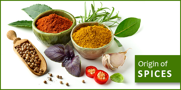 Origin of spices by organic spices manufacturers in India