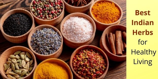 Best Indian Herbs for Healthy Living
