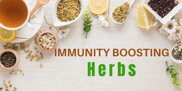 Immunity Boosting herbs to fight Covid19