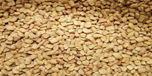 Fenugreek Suppliers | Organic Products Of India