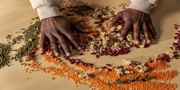 Pulses | Pupulses exporters in India | pulses manufacturers in India | Organic Products India