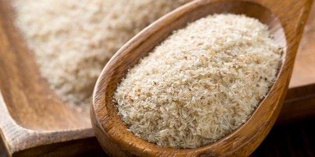 BENEFITS OF PSYLLIUM HUSK