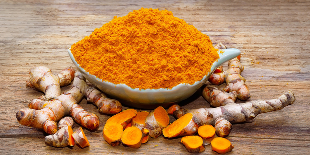 Evaluating the Differences between Fresh and Dried Turmeric