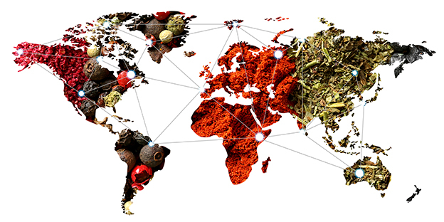 Organic Spices Across Globe