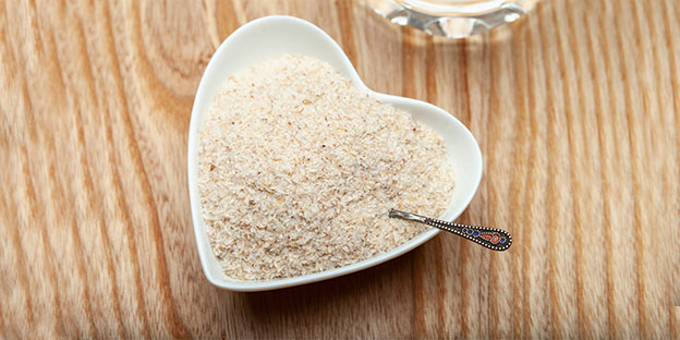 psyllium husk supplier in india