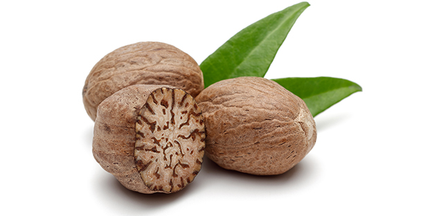 Nutmeg Exporters in India