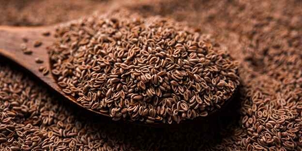 Health Benefits of Organic Psyllium Seeds