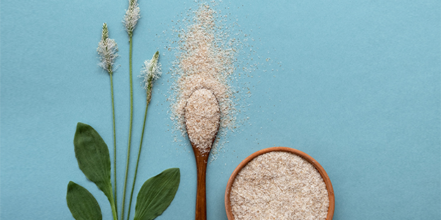 How Organic Psyllium Seeds are Grown and Harvested